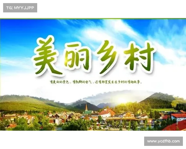 清风引领共同努力共建美好宜居社区环境新篇章